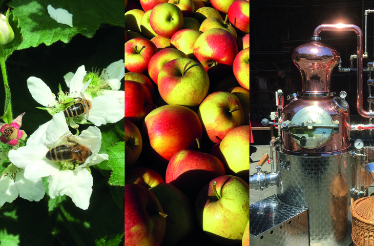 Degustation von Spirituosen mit Thomas Burren. - Kiebitz ...