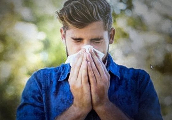 Bild: Detox, Immunsystem, Allergien, Heuschnupfen